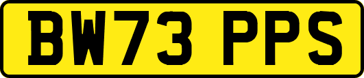 BW73PPS