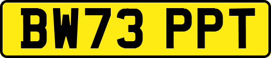BW73PPT
