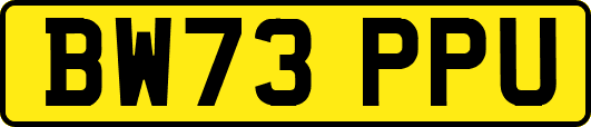 BW73PPU