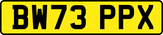 BW73PPX