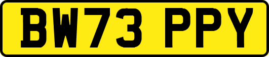 BW73PPY