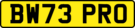 BW73PRO