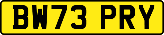 BW73PRY