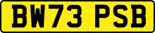 BW73PSB