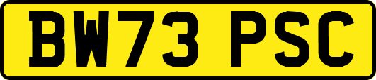 BW73PSC