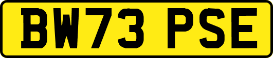 BW73PSE