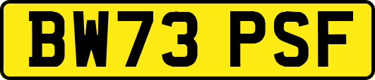 BW73PSF