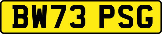 BW73PSG