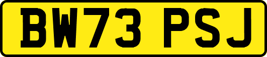 BW73PSJ