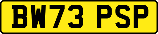 BW73PSP