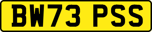 BW73PSS