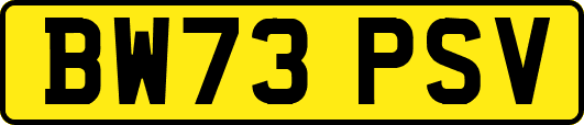BW73PSV
