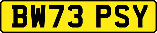 BW73PSY