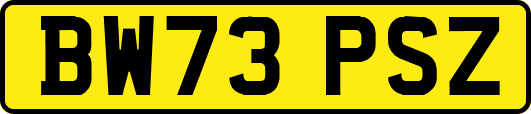 BW73PSZ