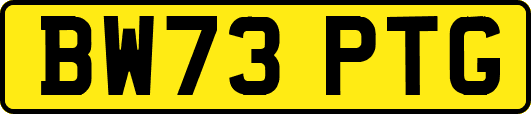 BW73PTG