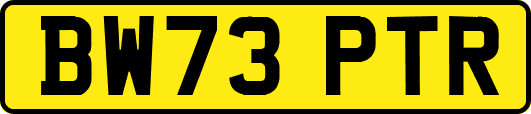 BW73PTR