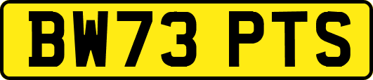 BW73PTS