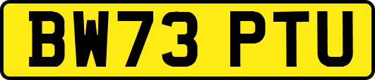 BW73PTU