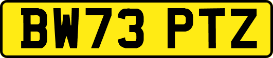 BW73PTZ