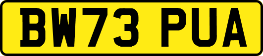 BW73PUA