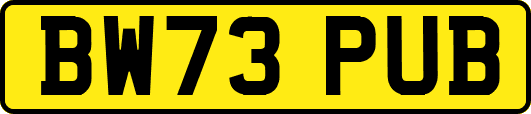 BW73PUB