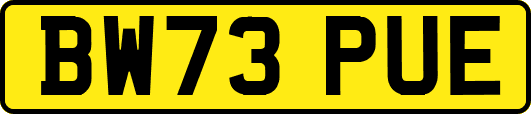 BW73PUE