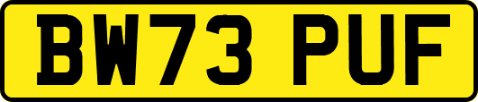 BW73PUF