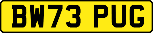 BW73PUG