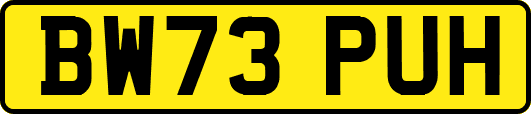 BW73PUH