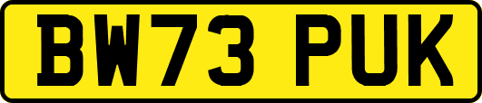 BW73PUK