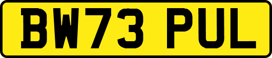 BW73PUL