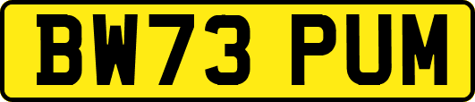 BW73PUM
