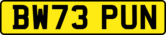 BW73PUN
