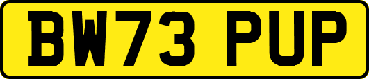BW73PUP
