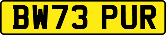 BW73PUR
