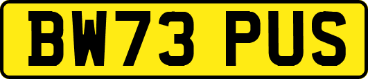 BW73PUS