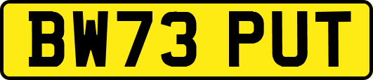 BW73PUT