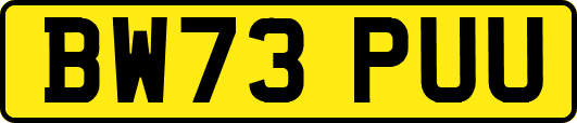 BW73PUU