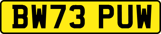 BW73PUW