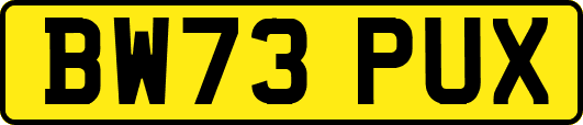 BW73PUX