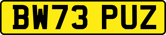 BW73PUZ