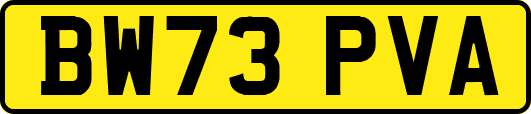 BW73PVA