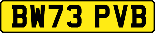 BW73PVB