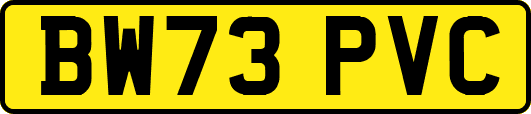 BW73PVC