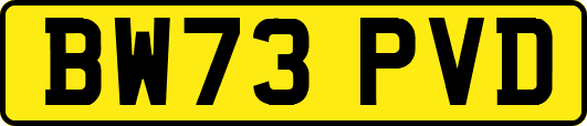 BW73PVD