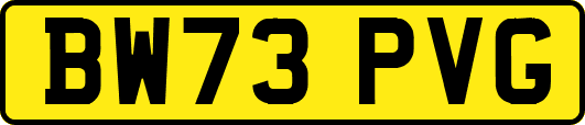 BW73PVG