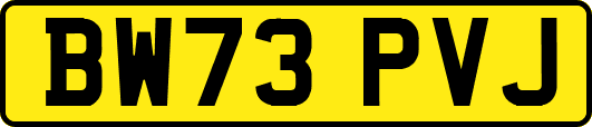 BW73PVJ