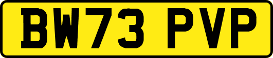 BW73PVP