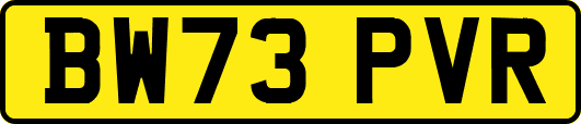 BW73PVR