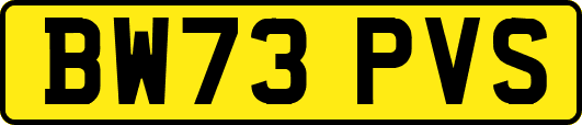 BW73PVS